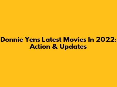 Donnie Yen's Latest Movies In 2022: Action & Updates