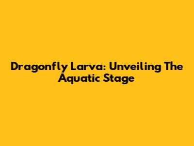 Dragonfly Larva: Unveiling The Aquatic Stage