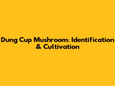 Dung Cup Mushroom: Identification & Cultivation