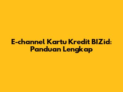 E-channel Kartu Kredit BIZid: Panduan Lengkap