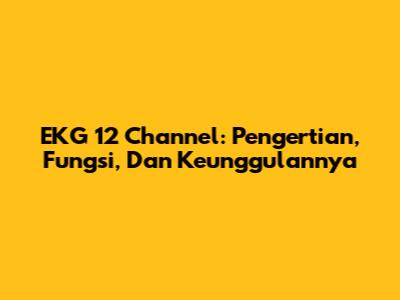 EKG 12 Channel: Pengertian, Fungsi, Dan Keunggulannya