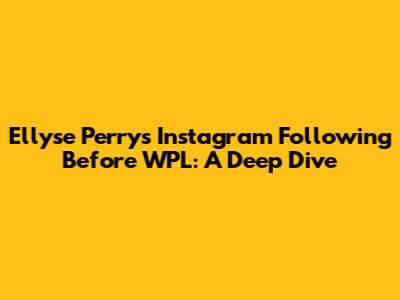 Ellyse Perry's Instagram Following Before WPL: A Deep Dive