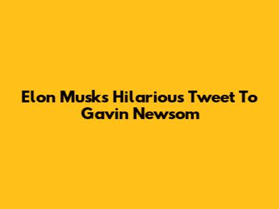 Elon Musk's Hilarious Tweet To Gavin Newsom