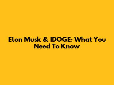 Elon Musk & IDOGE: What You Need To Know