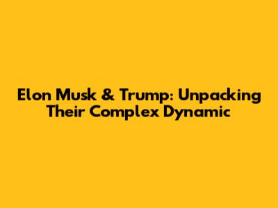 Elon Musk & Trump: Unpacking Their Complex Dynamic