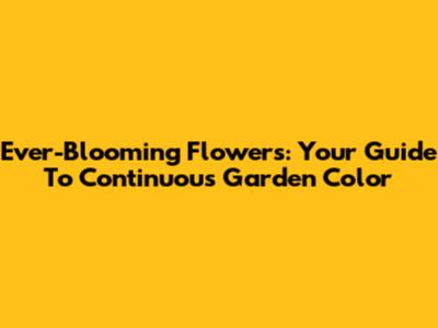 Ever-Blooming Flowers: Your Guide To Continuous Garden Color