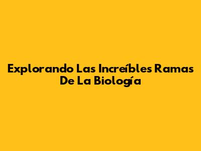 Explorando Las Increíbles Ramas De La Biología