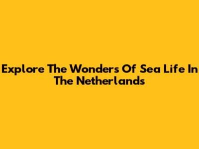 Explore The Wonders Of Sea Life In The Netherlands