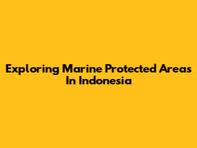 Exploring Marine Protected Areas In Indonesia
