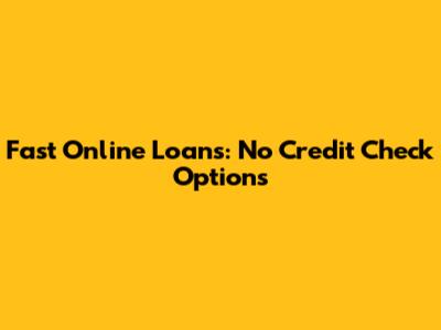 Fast Online Loans: No Credit Check Options
