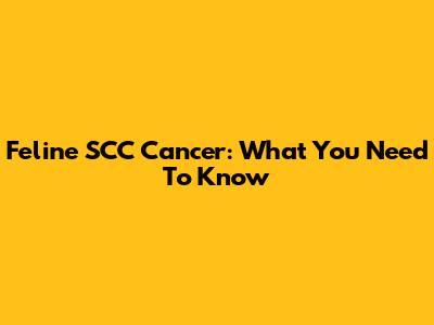 Feline SCC Cancer: What You Need To Know