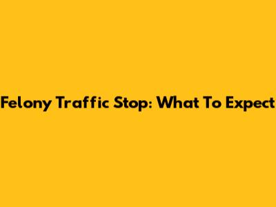 Felony Traffic Stop: What To Expect