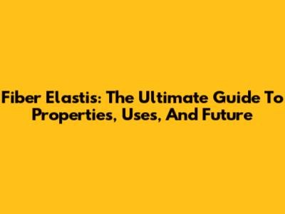 Fiber Elastis: The Ultimate Guide To Properties, Uses, And Future