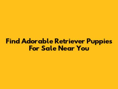 Find Adorable Retriever Puppies For Sale Near You