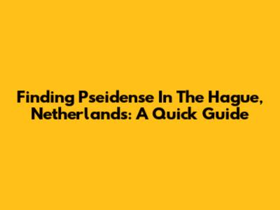 Finding 'Pseidense' In The Hague, Netherlands: A Quick Guide