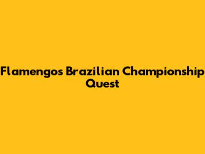 Flamengo's Brazilian Championship Quest