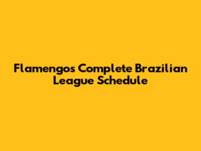 Flamengo's Complete Brazilian League Schedule