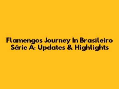 Flamengo's Journey In Brasileiro Série A: Updates & Highlights