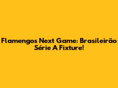 Flamengo's Next Game: Brasileirão Série A Fixture!