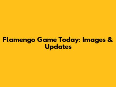 Flamengo Game Today: Images & Updates