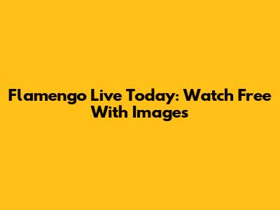 Flamengo Live Today: Watch Free With Images