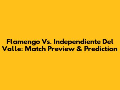 Flamengo Vs. Independiente Del Valle: Match Preview & Prediction