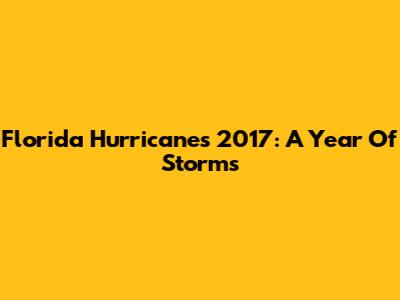 Florida Hurricanes 2017: A Year Of Storms