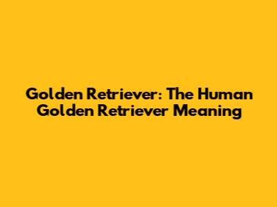 Golden Retriever: The "Human Golden Retriever" Meaning
