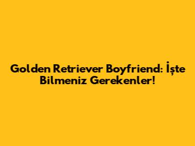 Golden Retriever Boyfriend: İşte Bilmeniz Gerekenler!