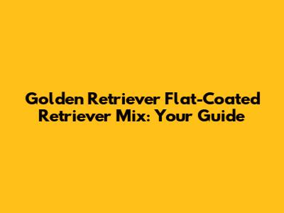 Golden Retriever Flat-Coated Retriever Mix: Your Guide