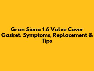 Gran Siena 1.6 Valve Cover Gasket: Symptoms, Replacement & Tips