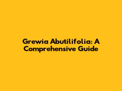 Grewia Abutilifolia: A Comprehensive Guide