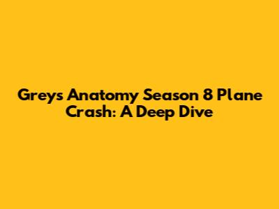 Grey's Anatomy Season 8 Plane Crash: A Deep Dive