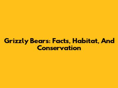 Grizzly Bears: Facts, Habitat, And Conservation