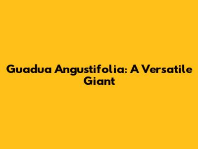Guadua Angustifolia: A Versatile Giant