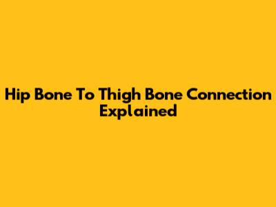 Hip Bone To Thigh Bone Connection Explained