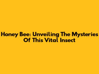 Honey Bee: Unveiling The Mysteries Of This Vital Insect