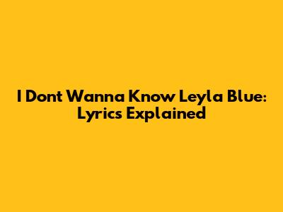 I Don't Wanna Know Leyla Blue: Lyrics Explained