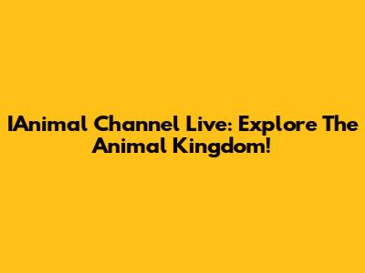 IAnimal Channel Live: Explore The Animal Kingdom!