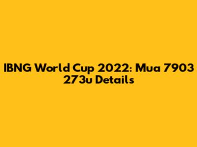 IBNG World Cup 2022: Mua 7903 273u Details