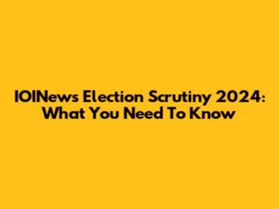 IOINews Election Scrutiny 2024: What You Need To Know