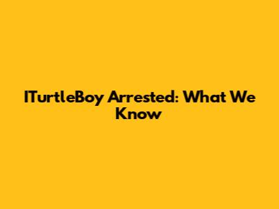 ITurtleBoy Arrested: What We Know