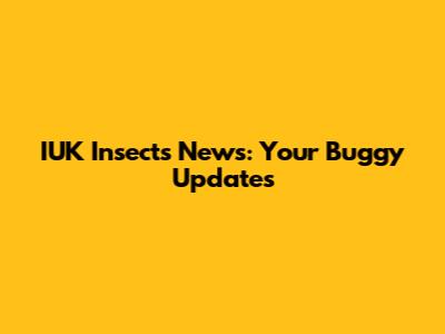 IUK Insects News: Your Buggy Updates