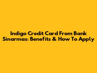 Indigo Credit Card From Bank Sinarmas: Benefits & How To Apply