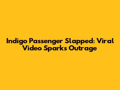 Indigo Passenger Slapped: Viral Video Sparks Outrage