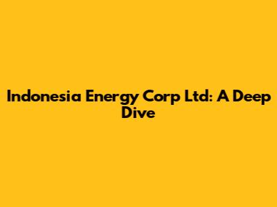Indonesia Energy Corp Ltd: A Deep Dive