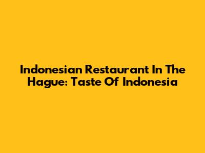 Indonesian Restaurant In The Hague: Taste Of Indonesia
