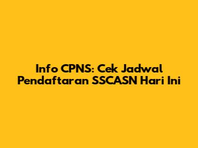 Info CPNS: Cek Jadwal Pendaftaran SSCASN Hari Ini