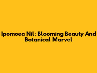 Ipomoea Nil: Blooming Beauty And Botanical Marvel