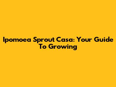 Ipomoea Sprout Casa: Your Guide To Growing